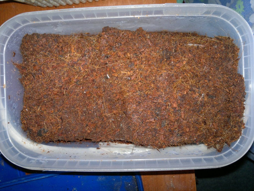 Грунт в астрахани Грунт в астрахани